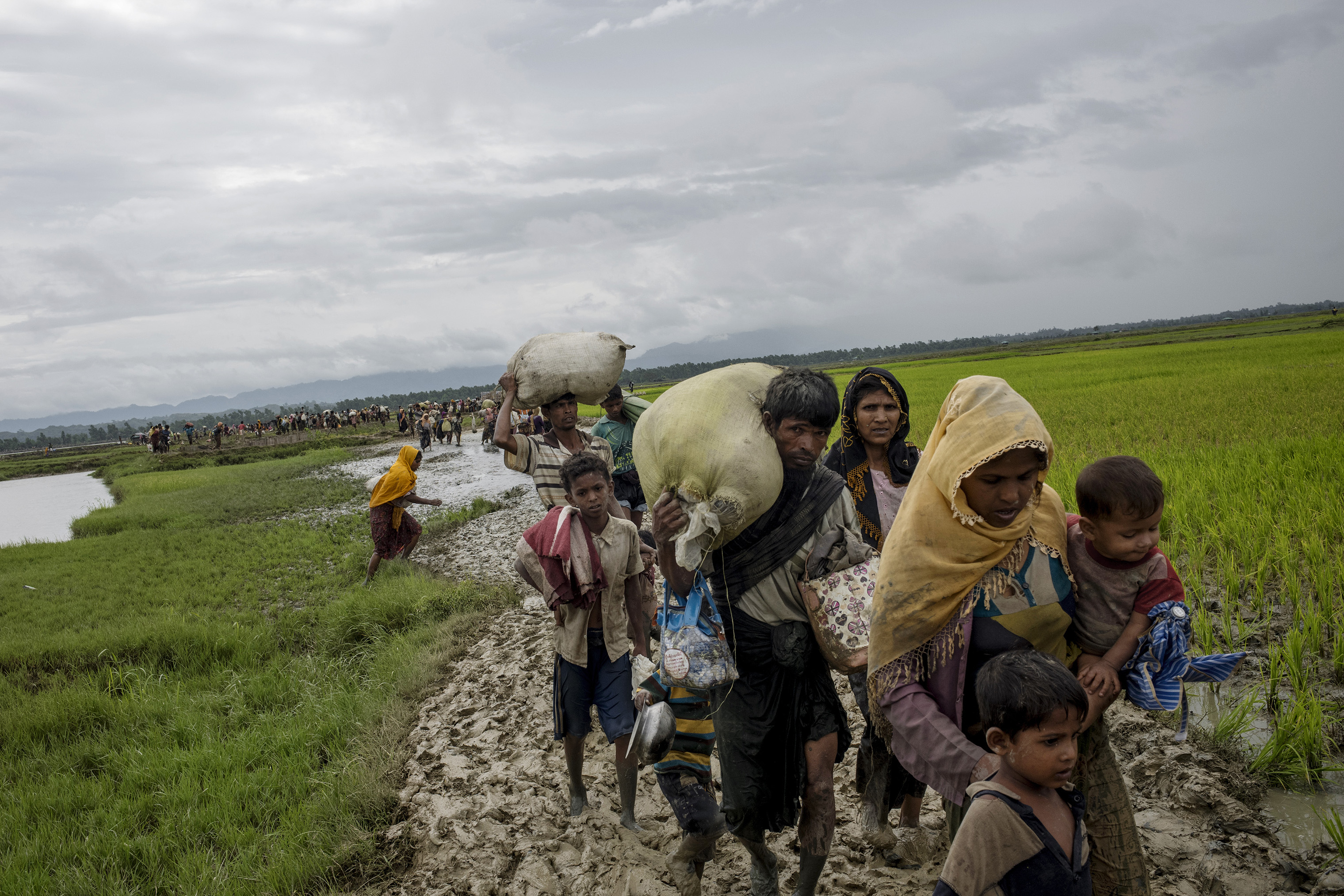 Members of Myanmar's Rohingya ethnic minority walk through paddy fields and flooded land after crossing the border into Bangladesh, August 31, 2017.