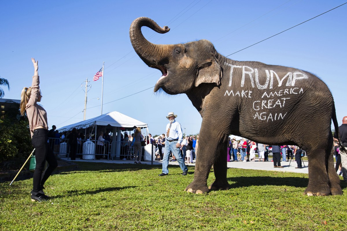 A Trump rally in Sarasota, Fla., on Nov. 28. Defying all expectations, Trump has dominated the Republican nomination contest