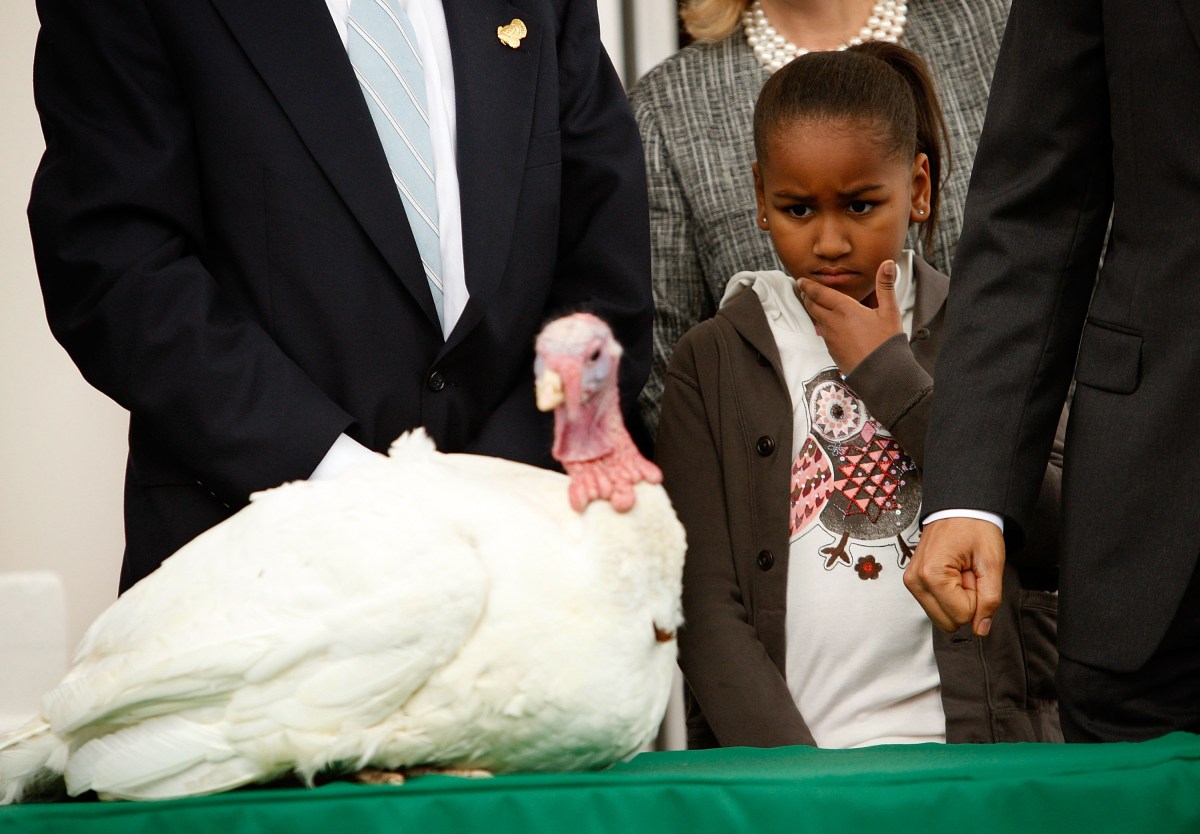 President Obama Pardons Thanksgiving Turkey