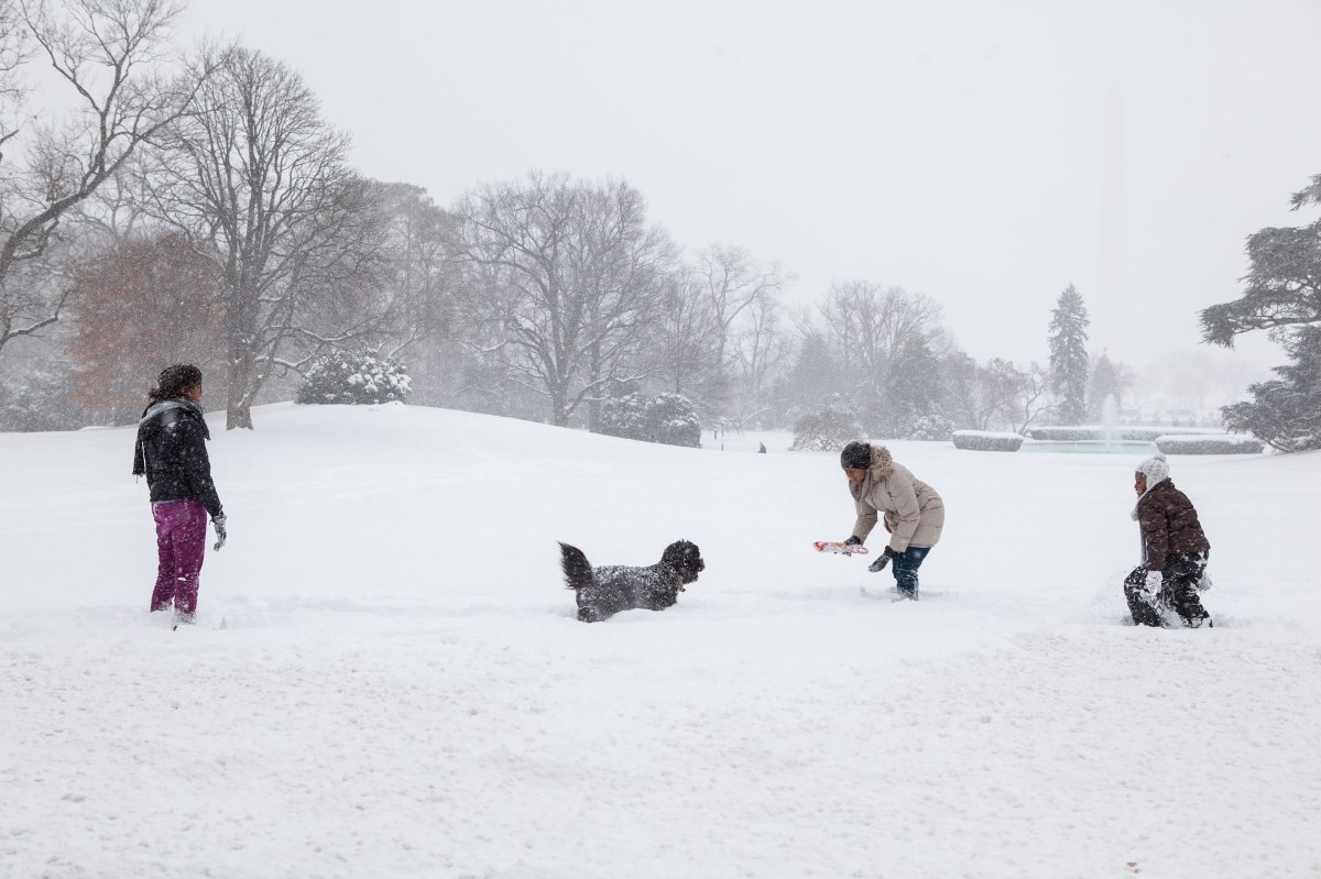 In this official White House photograph, First Lady Michelle Obama and daughters Sasha and Malia, along with family dog, Bo, play in the snow on the South Lawn of the White House on Dec. 19, 2009.