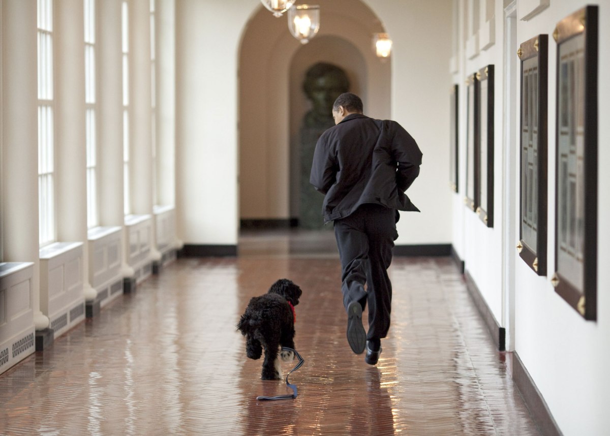 Pete SouzaÃ¢Â€Â”the white house