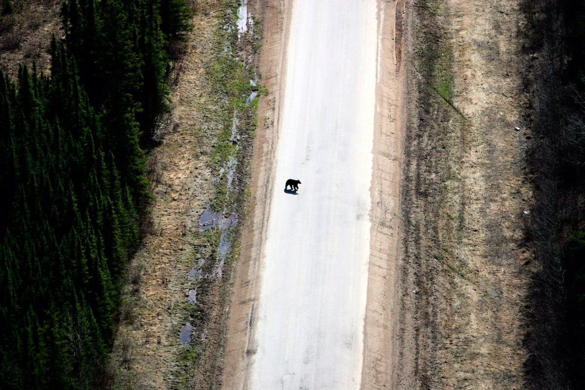 FORT MCMURRAY TAR SANDS