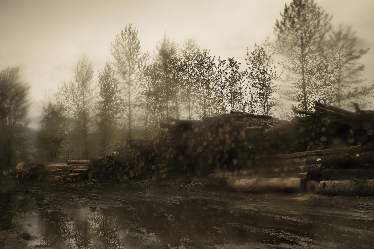 The location that was used at The Packard Sawmill on the TV show, is now home to DirtFish Rally School in Snoqualmie, WA. Todd Hido for TIME