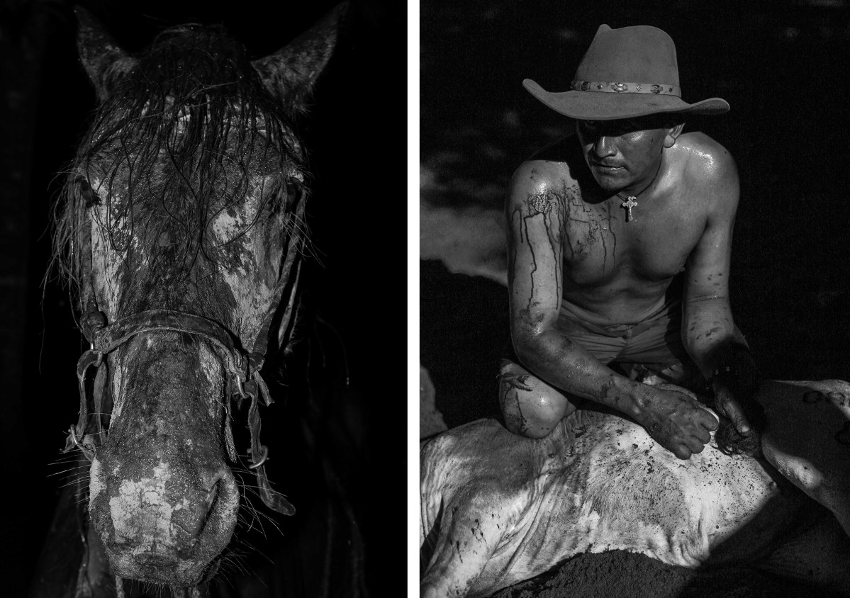 (L) The horse named Chemerejure. (R) Parrandero, a Llanero from a village called Quebrada Seca near the municipality of Orocue.
