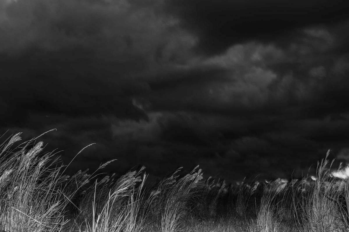 There are two seasons in the Colombian plains: 6 months winter and 6 months summer. As it is a tropical climate, the difference is not in temperature but in the amount of rain. Vichada state, Orinoco Region, Colombia, 2015.