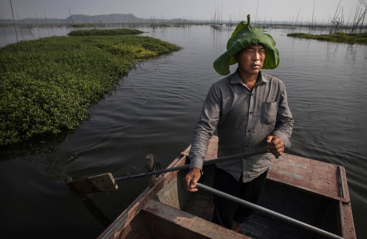 Chinese fisherman Wang Duoli, 50, whose family home was flooded out more than a decade ago, paddles in his boat near the site of a large floating solar farm.
