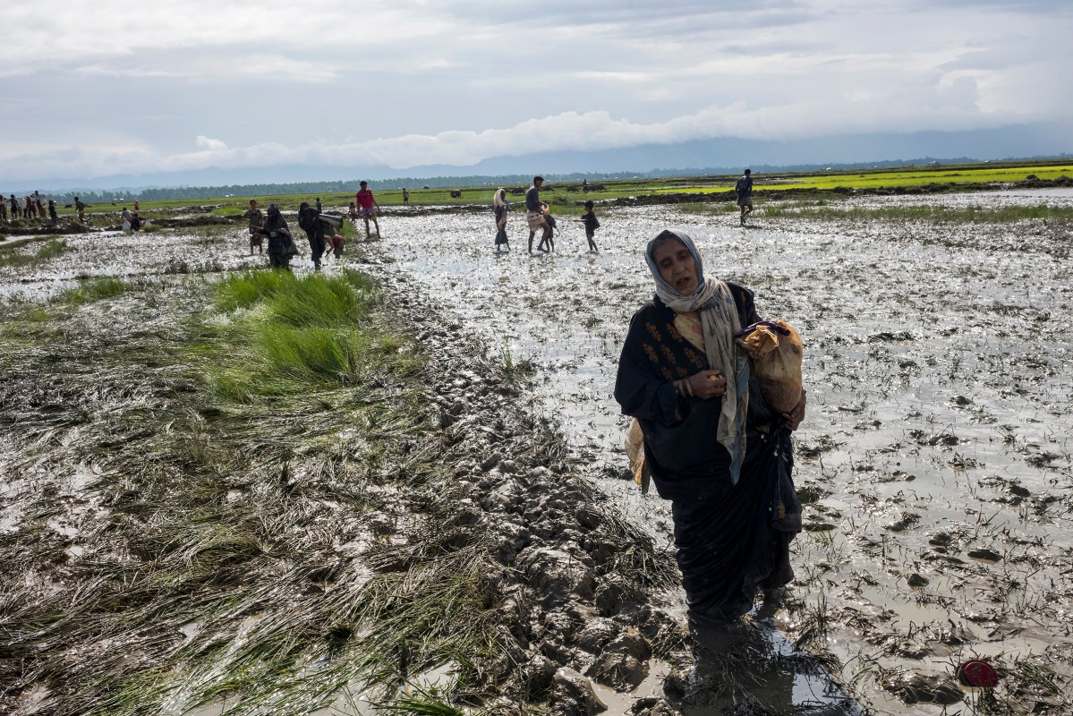 Members of Myanmar's Rohingya ethnic minority walk through paddy fields and flooded land after crossing the border into Bangladesh, August 31, 2017.ations says 87,000 mostly Rohingya refugees have poured over the border into Bangladesh since the latest round of fighting broke out 10 days ago in Myanmar's neighbouring Rakhine state.The Rohingya are a mainly Muslim stateless ethnic minority who according to rights groups have faced decades of persecution in mainly Buddhist Myanmar. Bangladesh was already home to around 400,000 Rohingya before the current crisis. Figures on Sept 5th, 2017.