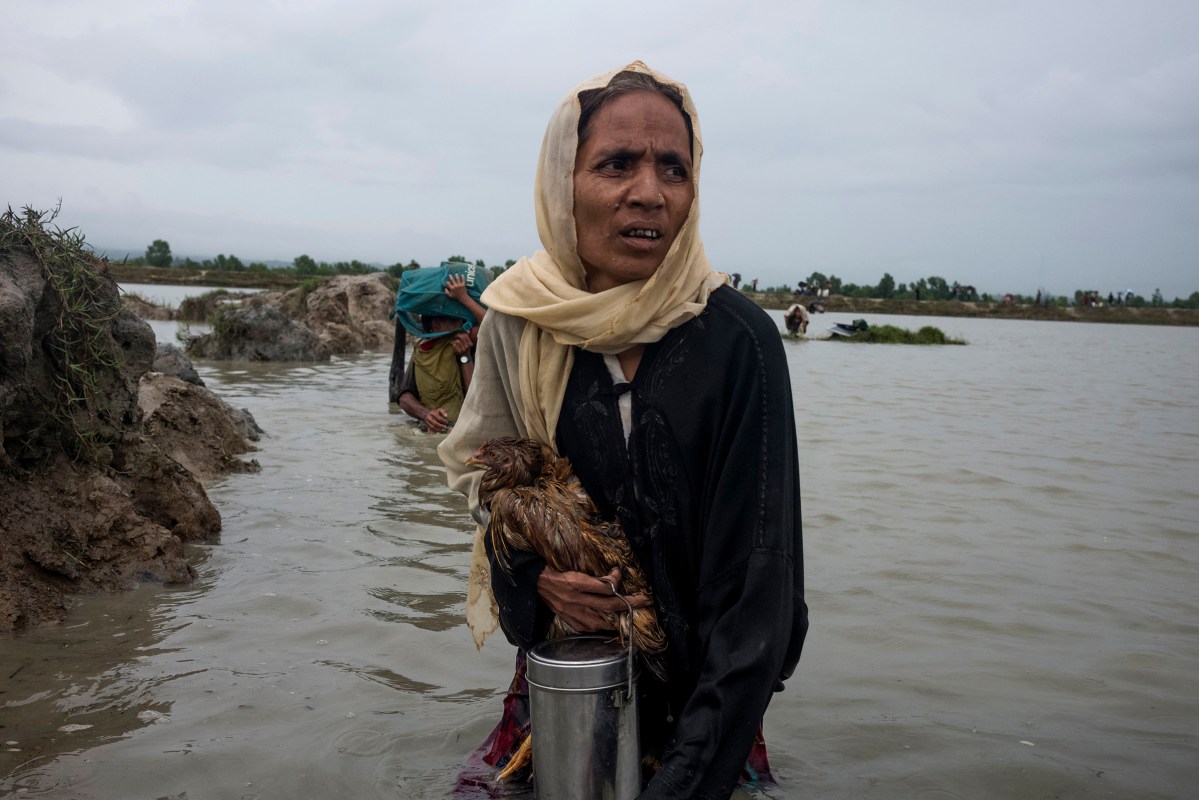 A Rohingya refugee walks in water carrying a chicken after crossing the border into Bangladesh, September 1, 2017.
