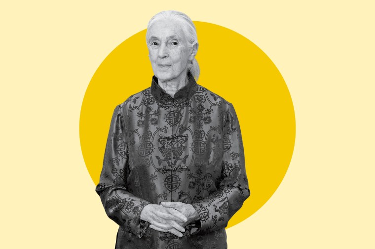 Jane Goodall