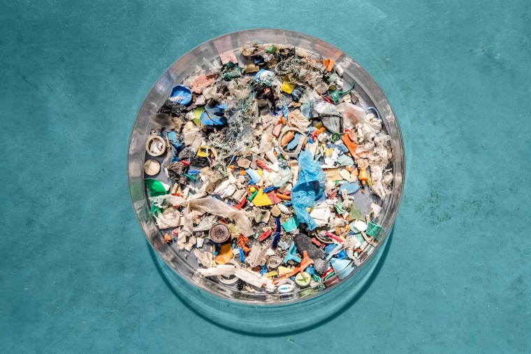 Ocean pollutionâincluding vast amounts of plastic waste that cannot break downâ is particularly hazardous for marine wildlife